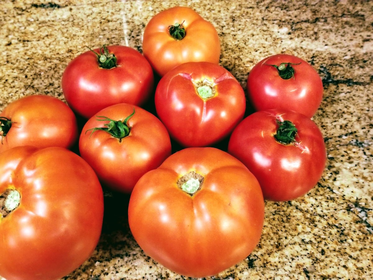 What’s new in Tomatoes?