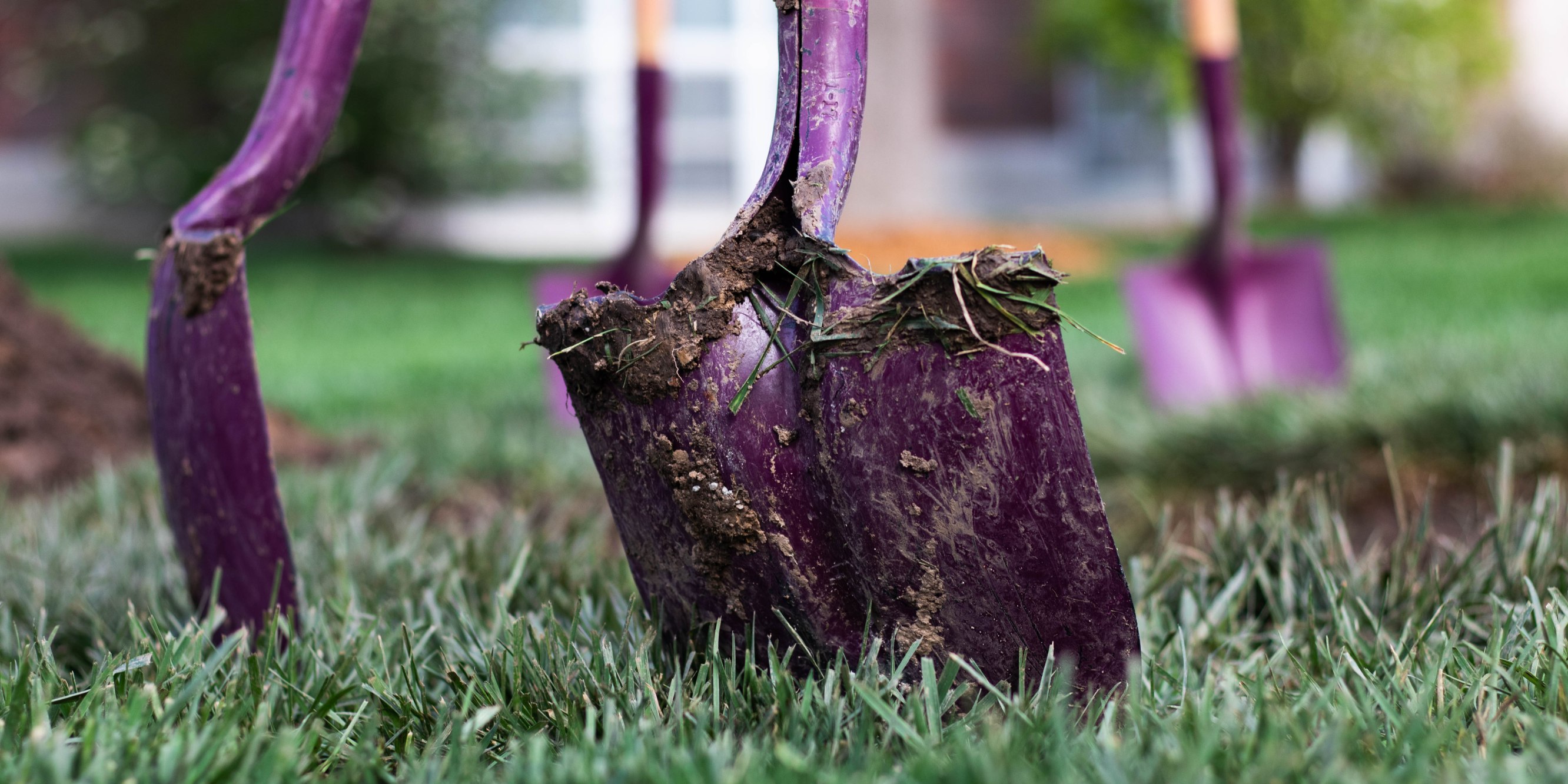 Fall Tree Planting Tips for Central Kansas Homeowners – Central Kansas ...